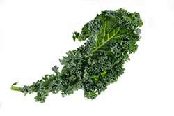 kale translate to spanish means.